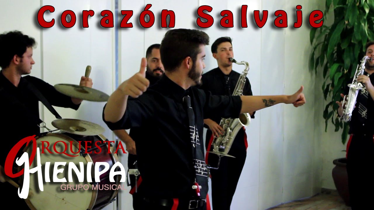 Vídeo: Orquesta Hienipa 2016