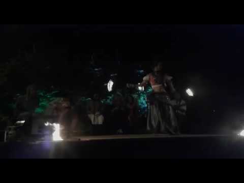 Vídeo: Verdemaria