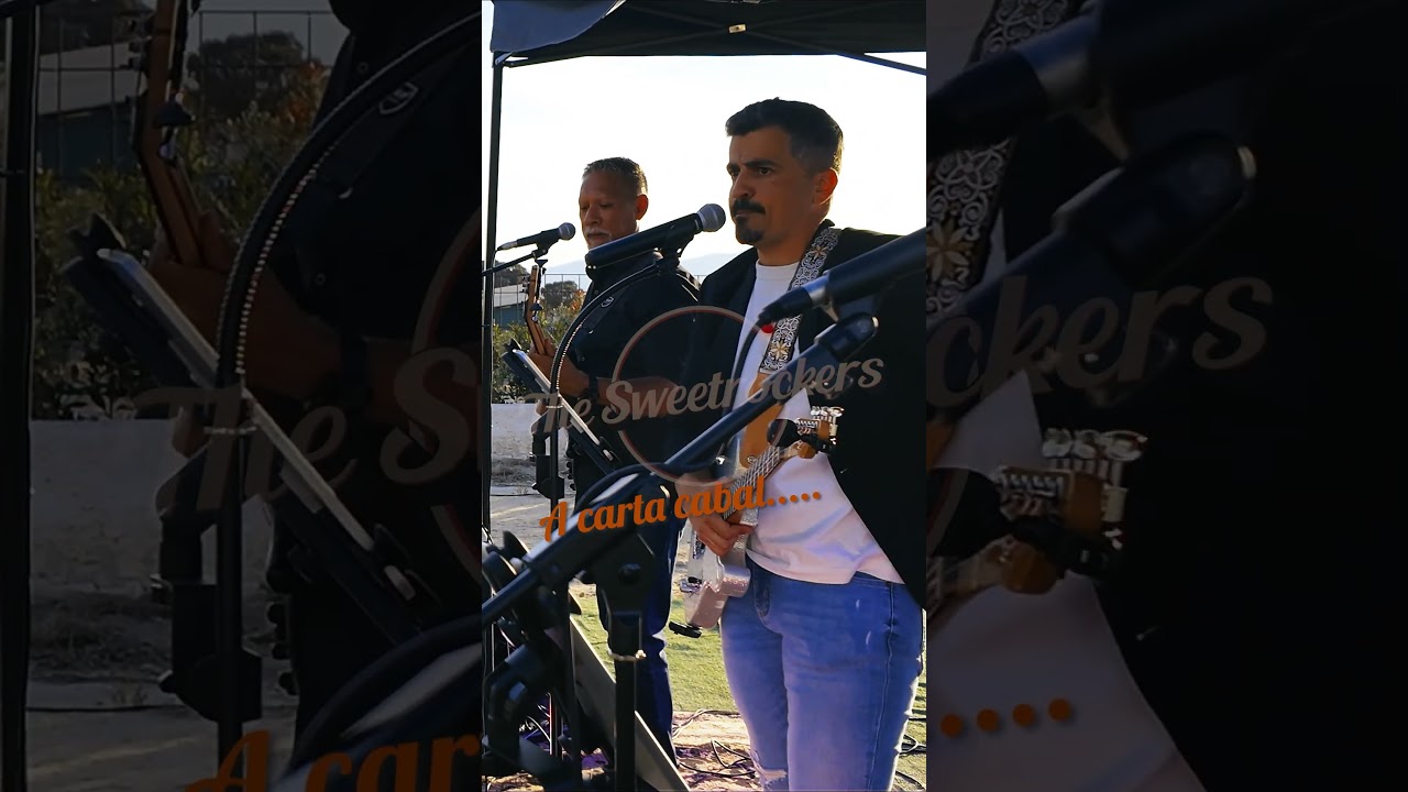 Vídeo: Feo, fuerte y formal de Loquillo en directo | The Sweetrockers en una boda